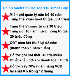 Chính sách bán hàng Times City Park Hill